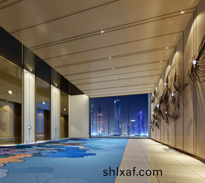 商務酒(jiu)店設(she)計