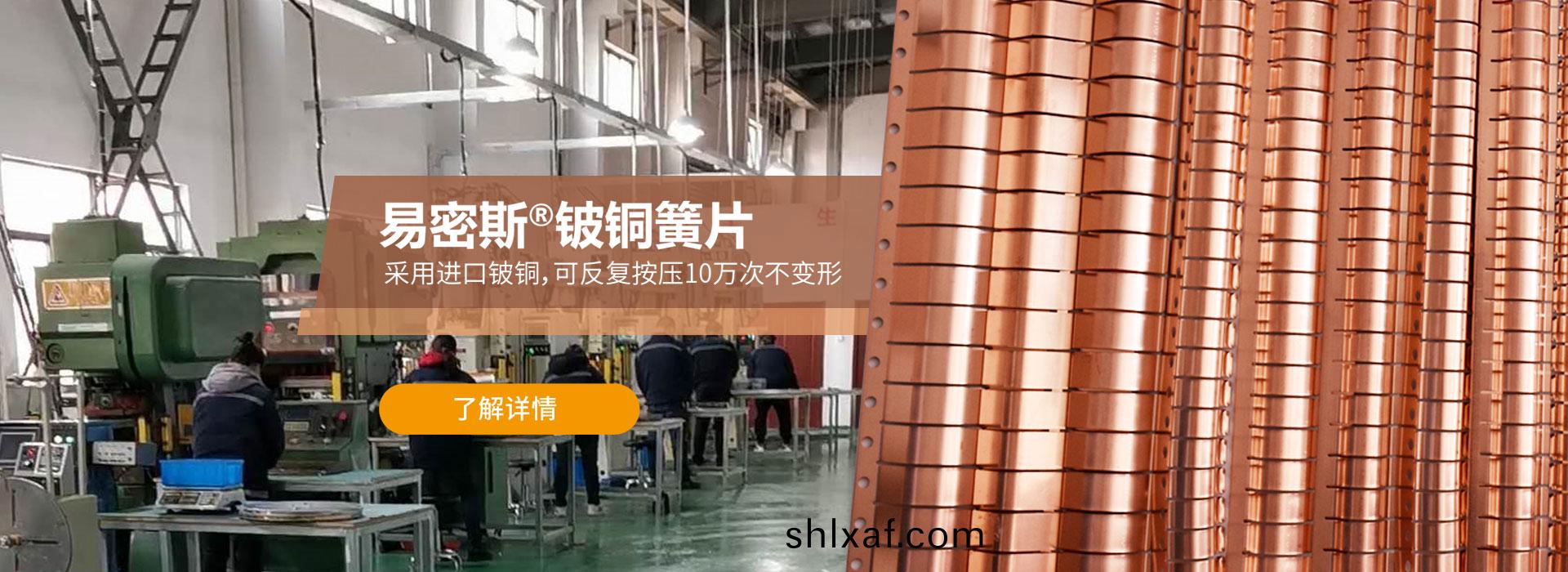 易密斯(si)鈹銅(tong)彈片(pian)